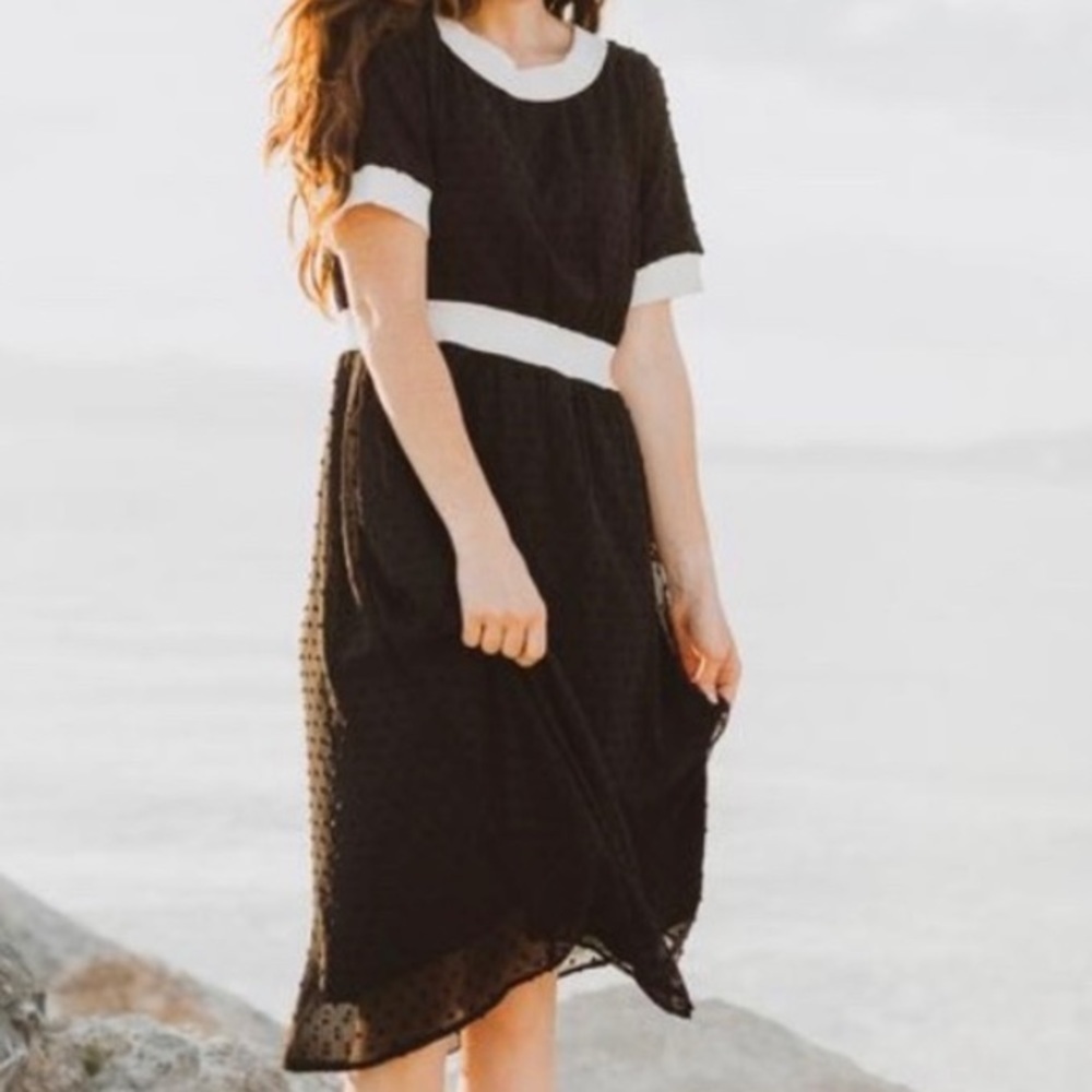 NWT Piper & Scoot Contrast Dress Nola Swiss Dot Size Medium LBD